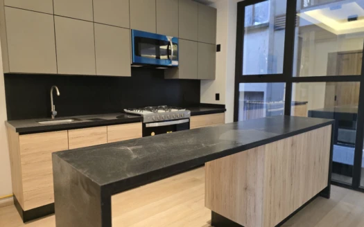 Concepción Beistegui