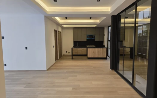 Concepción Beistegui