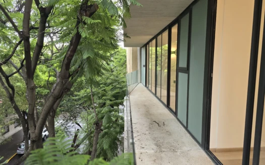 Concepción Beistegui